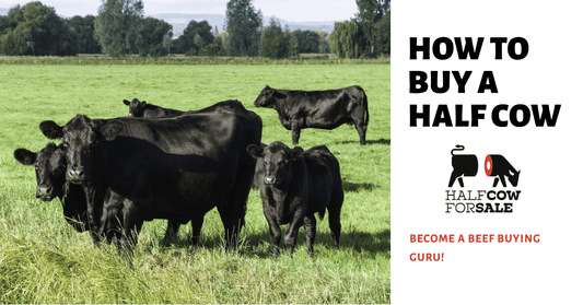 how to buy a half cow