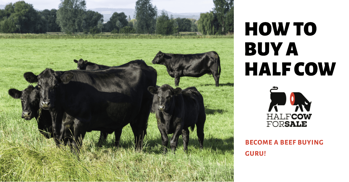 How to Buy a Half Cow: Become a Beef Buying Guru Now!