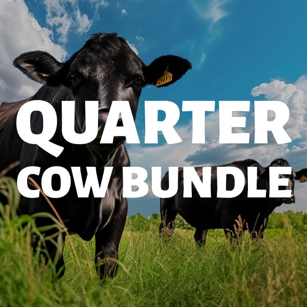 quarter cow for sale
