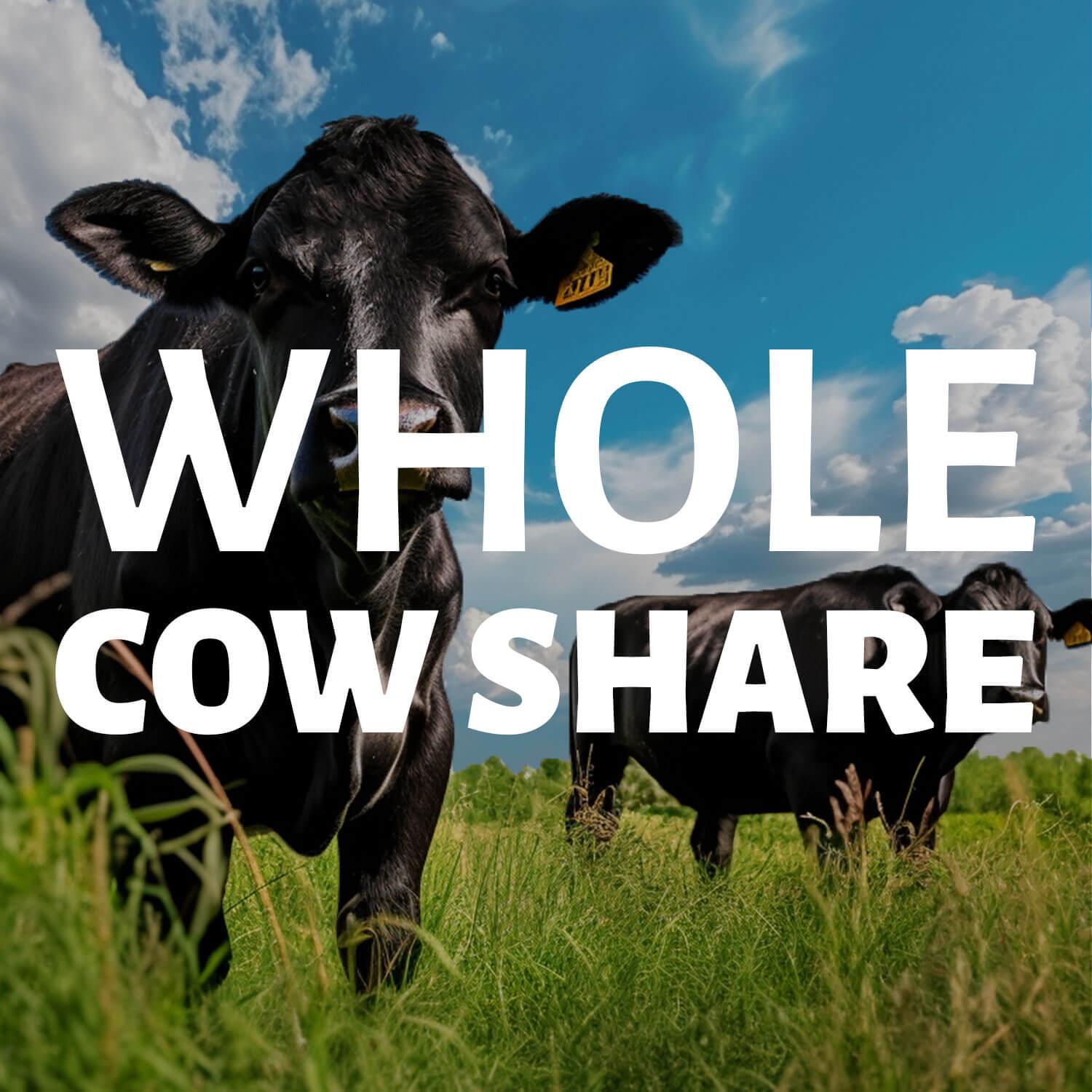 Whole Cow For Sale Dry-Aged Grass Fed Grain Finish 100% American Black Angus